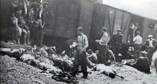 http://isurvived.org/Pictures_Isurvived/holocaust-romania.GIF