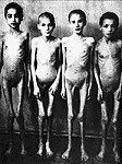 Dr. Mengele's experiments on
                                      children