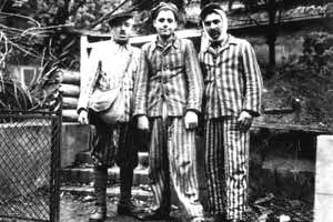 3 Polish Jews
                                                      surviving
                                                      Auschwitz