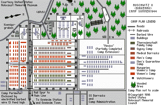 Birkenau Map