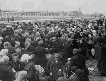 Auschwitz
                              arrival of Hungarian Jews in 1944