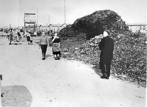 Bergen-Belsen Camp