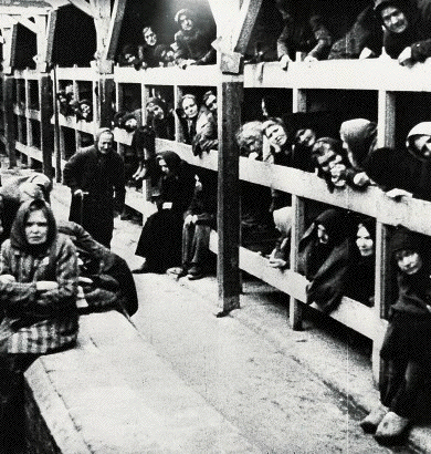 Women inmates at
                                              liberation in
                                              Birkenau-Auschwitz 