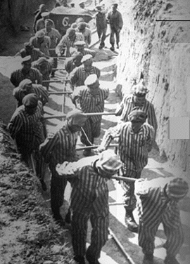 Holocaust male prisoners pulling a wagon.