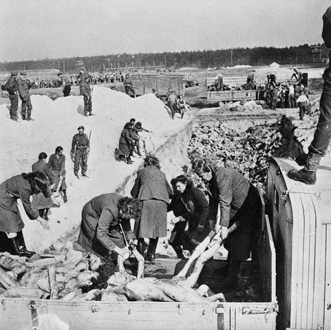 Gruesome
                                    picture of Bergen-Belsen Camp