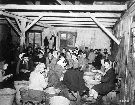 Women survivors at Belsen