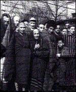 Holocaust Survivors