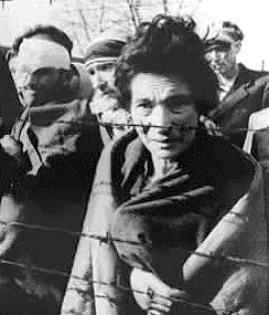 Auschwitz
                                                        survivors
