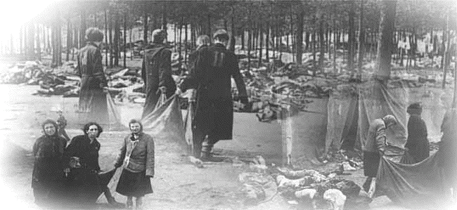 Corpses at Bergen-Belsen