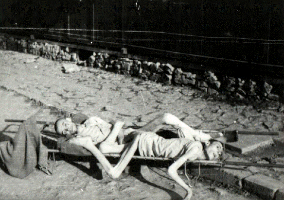 Corpses from the
                                                          Holocaust