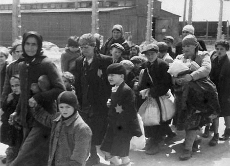 Selected at
                                            Birkenau for the gas
                                            chamber