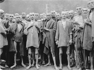 Survivors of
                                                  Ebensee