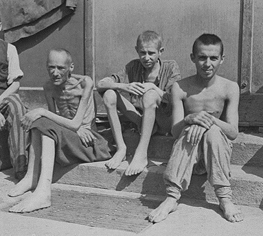 Survivors
                                                          of the
                                                          Holocaust