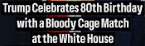 trump
bloody cage
match