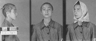 Auschwitz female
                                                          inmate