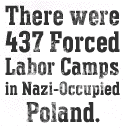 Nazi Poland