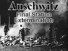 Auschwitz: Final
                                                Station Extermination