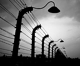 Auschwitz electrified fences