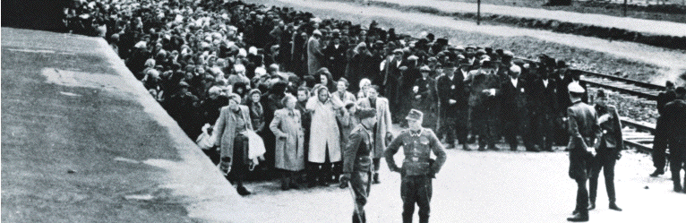 Upon arrival at Auschwitz-Birkenau camp