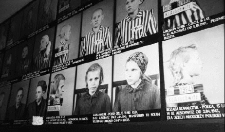 Children from the Auschwitz Death
                                  Camp