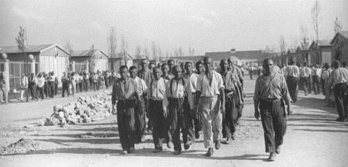 Prisoners at
                                                          Dachau