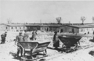 Prisoners at
                                                          Majdanek