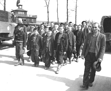 Buchenwald in
                                                  April 1945 at
                                                  liberation by US
                                                  Army.
