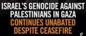 gaza genocide